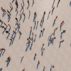 A Discipline in Disarray? The State of Sociology