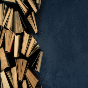 Literature in Limbo: The State of Literature as an Academic Discipline